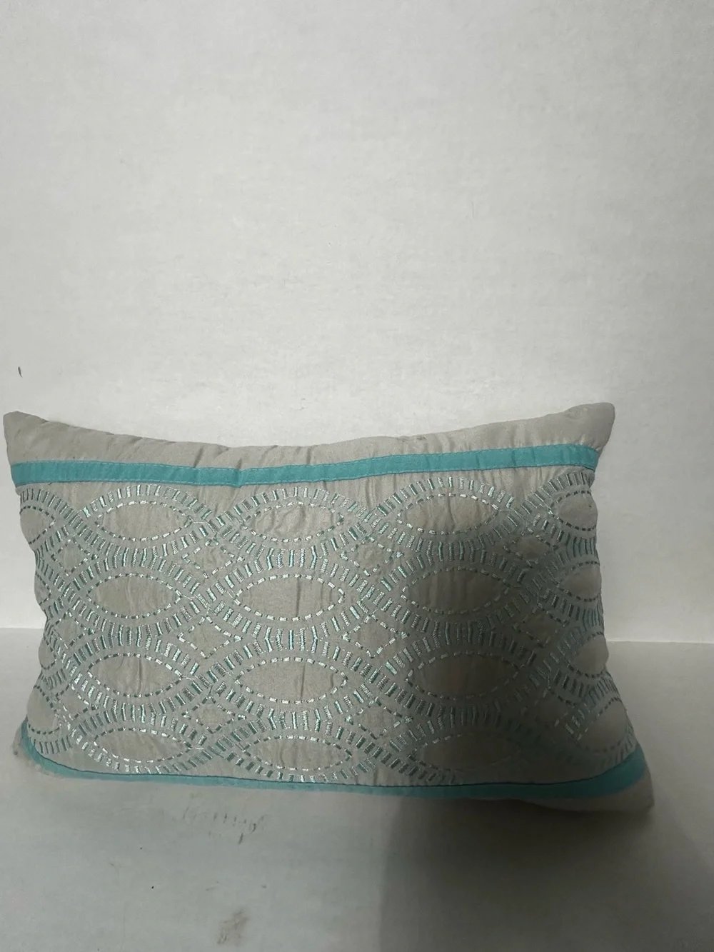 Embroidered Decorative Throw Pillow in Aqua and Beige